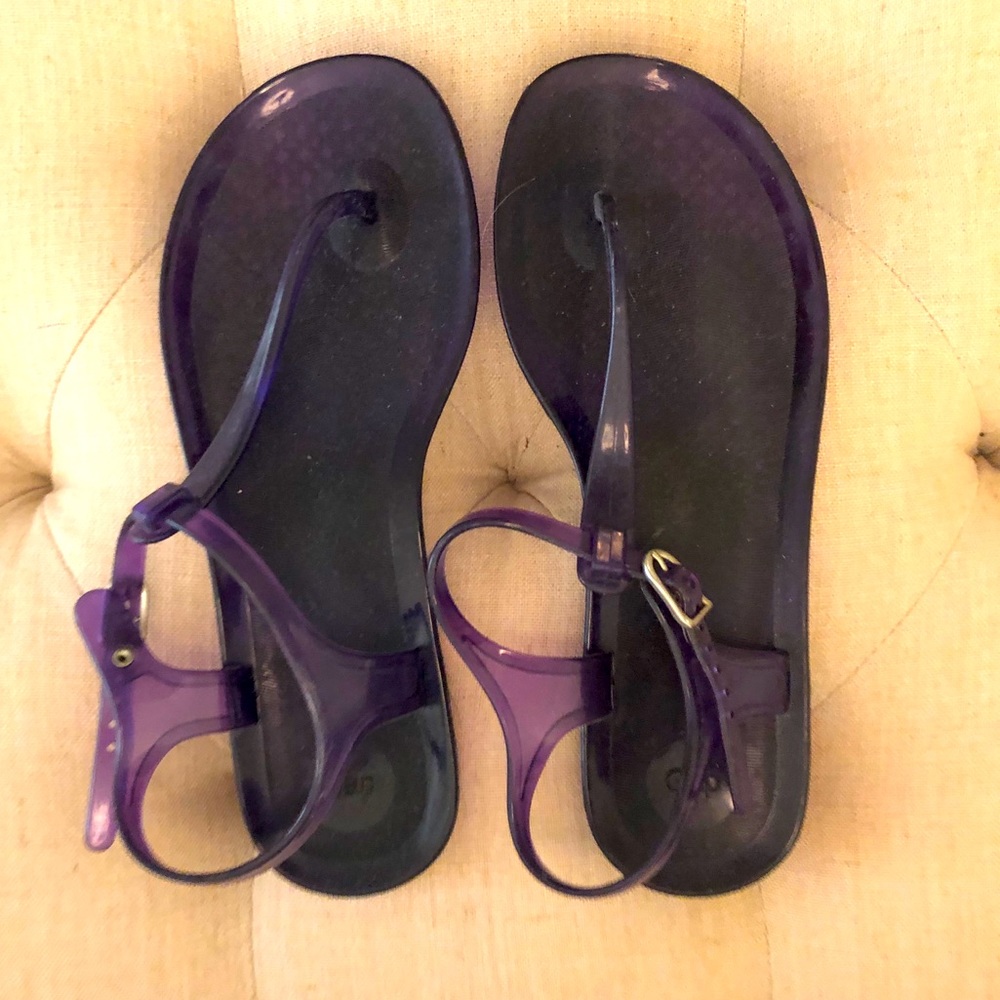 Purple Gap Jellies